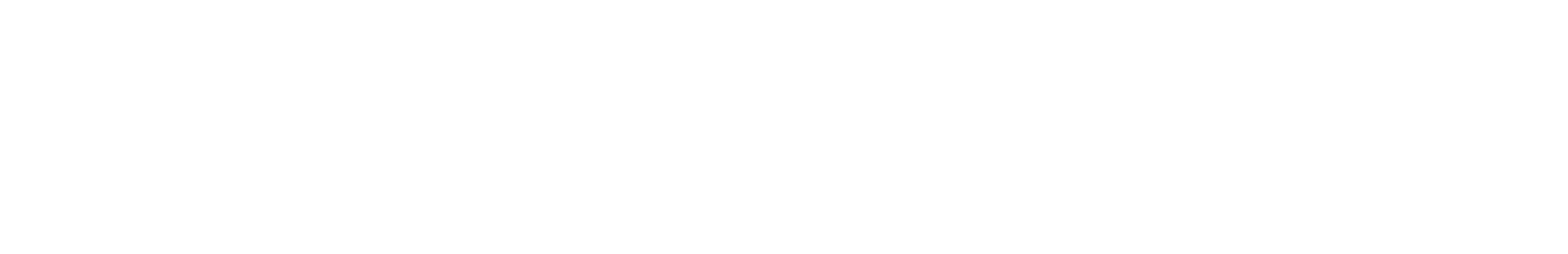 GS Consultants